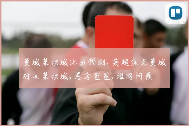 曼城莱切城比分预测,英超焦点曼城对决莱切城,悬念重重,谁将问鼎
